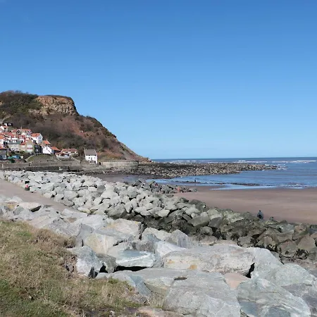 Holly * Saltburn-by-the-Sea